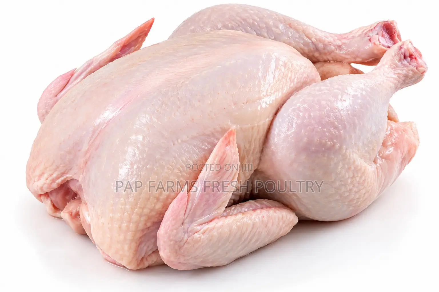 Freshly Processed Chicken Whole Chicken