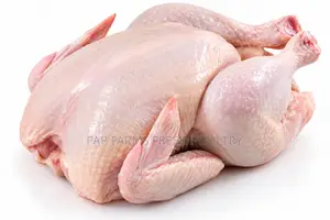 Freshly Processed Chicken Whole Chicken