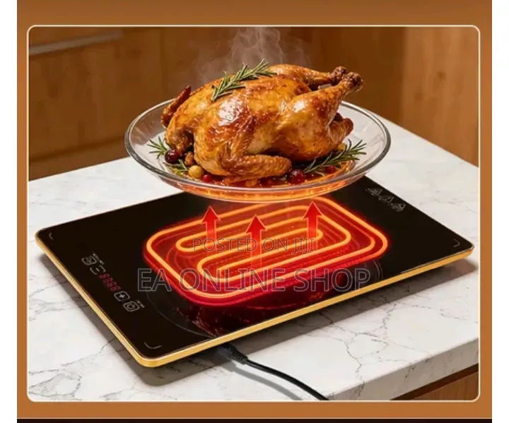 Electric Food Heating Plate 4 in 1 Set. Ceramic Potable Food Warmer
