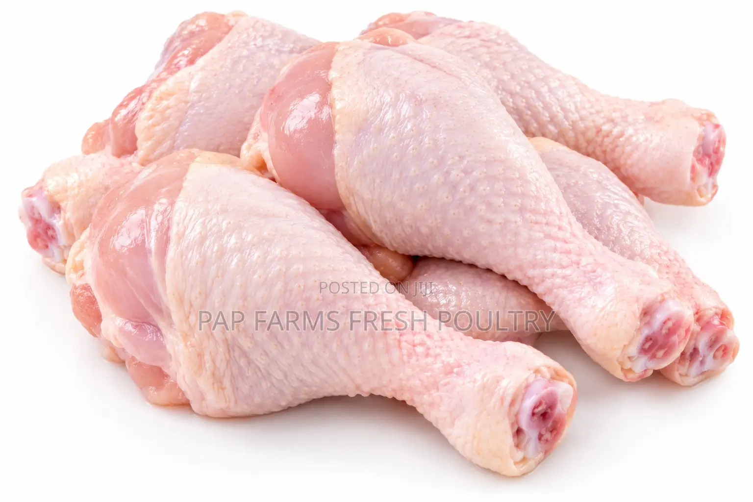 Freshly Processed Chicken Drumsticks