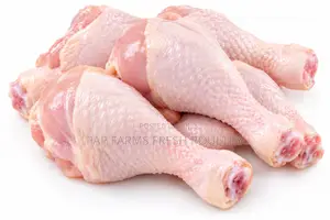 Freshly Processed Chicken Drumsticks
