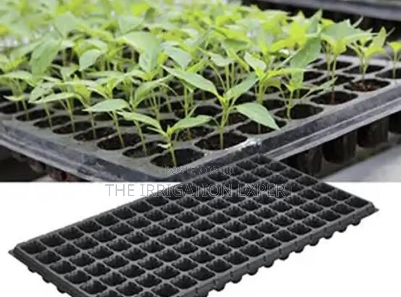 128hole Seed Tray