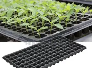 128hole Seed Tray