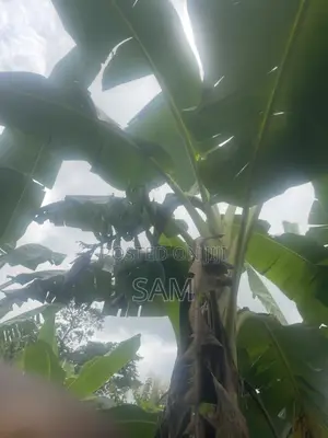 Farmers Wanted