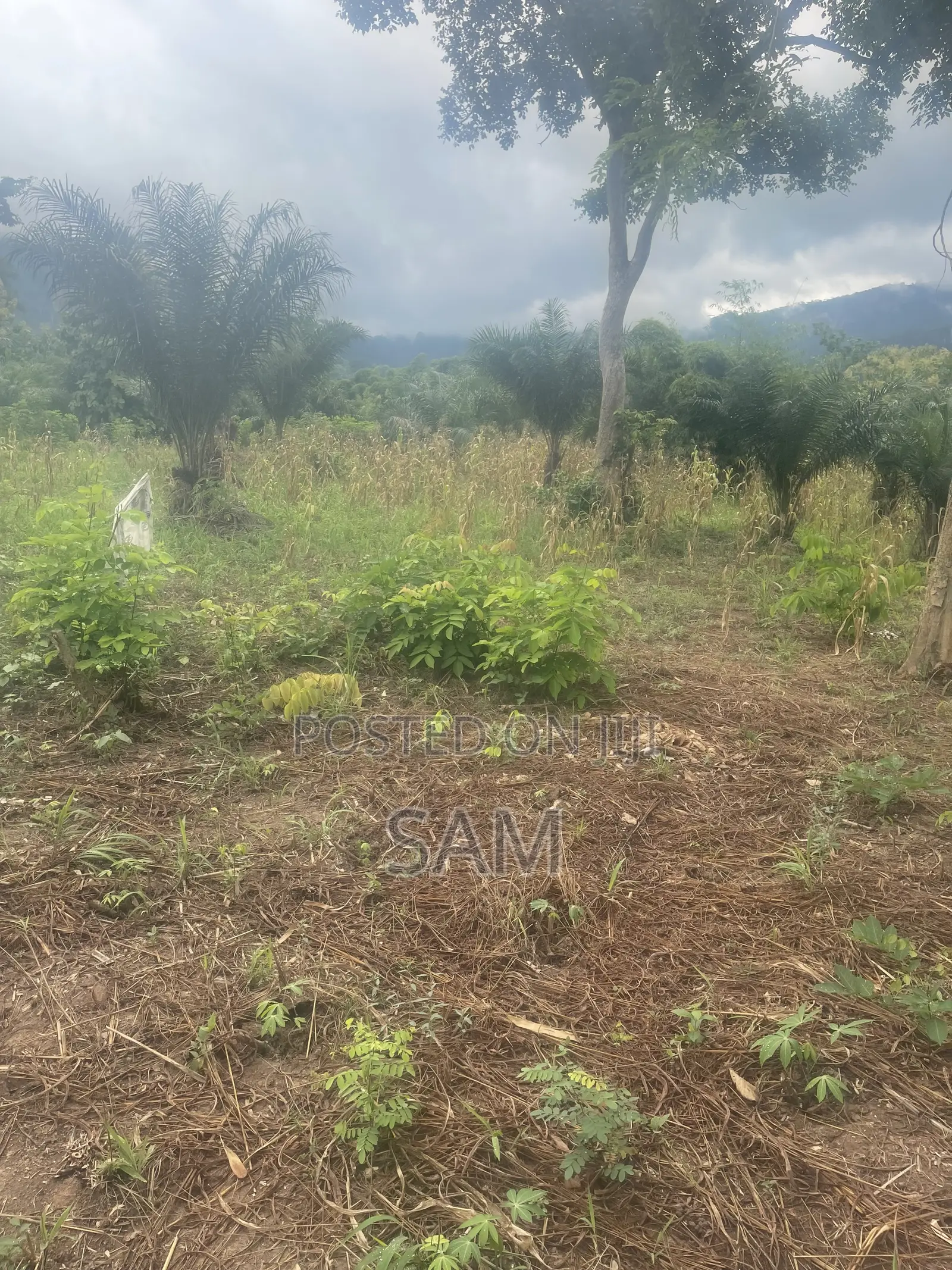 Farmers Wanted