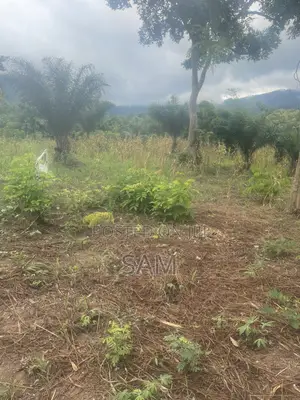 Farmers Wanted