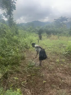 Farmers Wanted