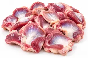 Freshly Processed Chicken Gizzard