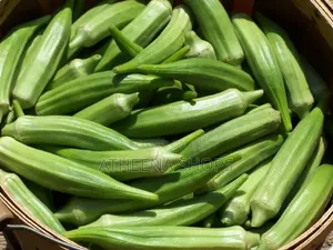 Okro Seeds for Your Home Garden
