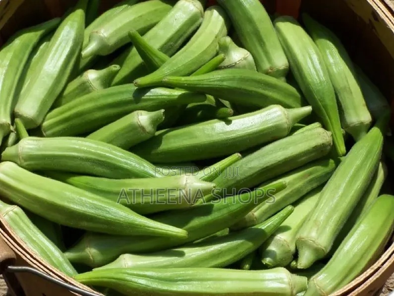 Okro Seeds for Your Home Garden