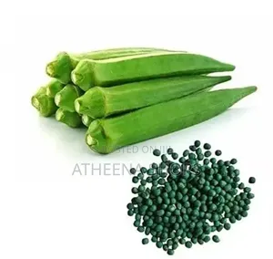 Okro Seeds for Your Home Garden