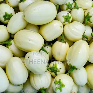 Garden Egg Seeds
