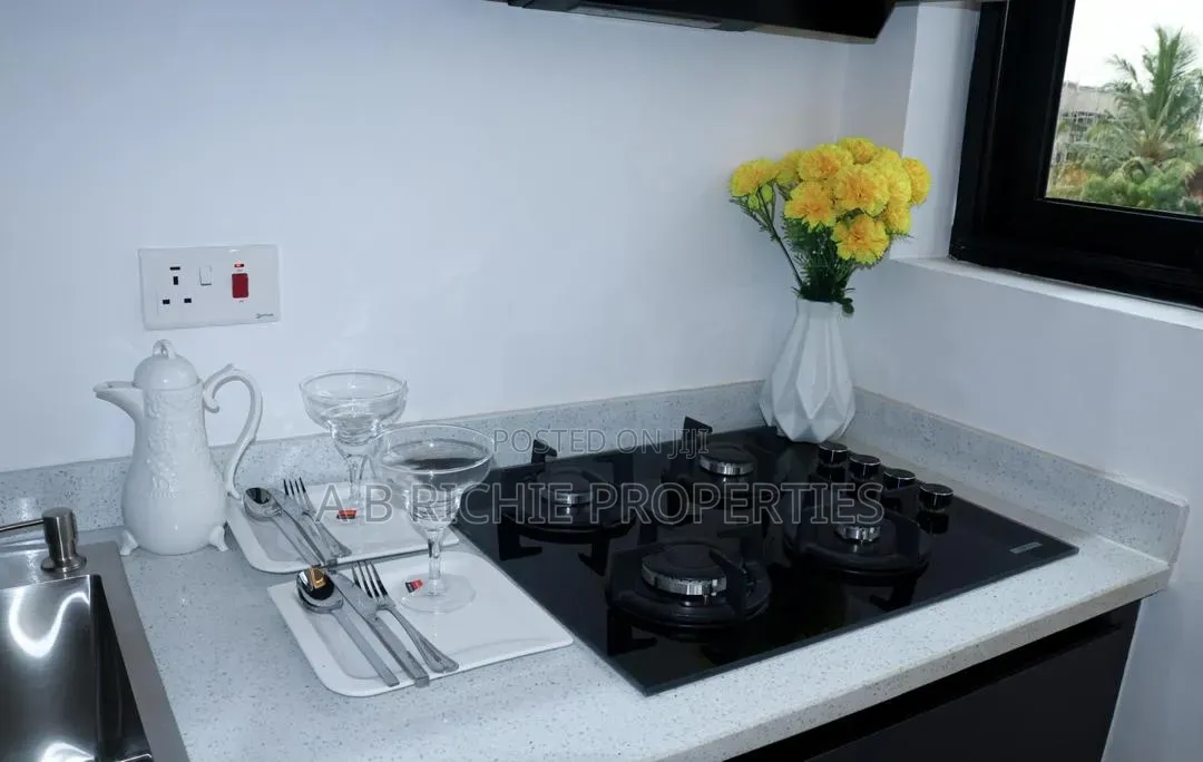 Furnished 1bdrm Apartment in Ab Richie Properties, Police Station
