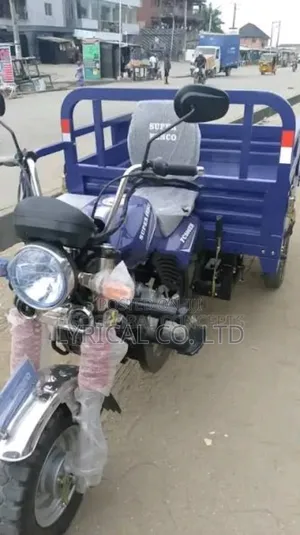 Tricycle 2025 Blue