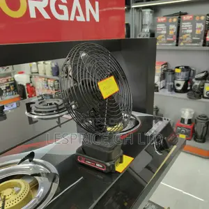 Super Efficient Cordless Rechargeable Morgan Desk-Fan