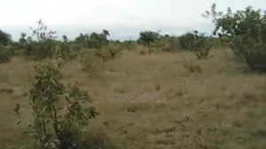 Genuine Lands Only