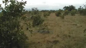Genuine Lands Only