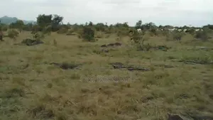 Genuine Lands Only