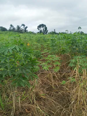 Farmland for Sale