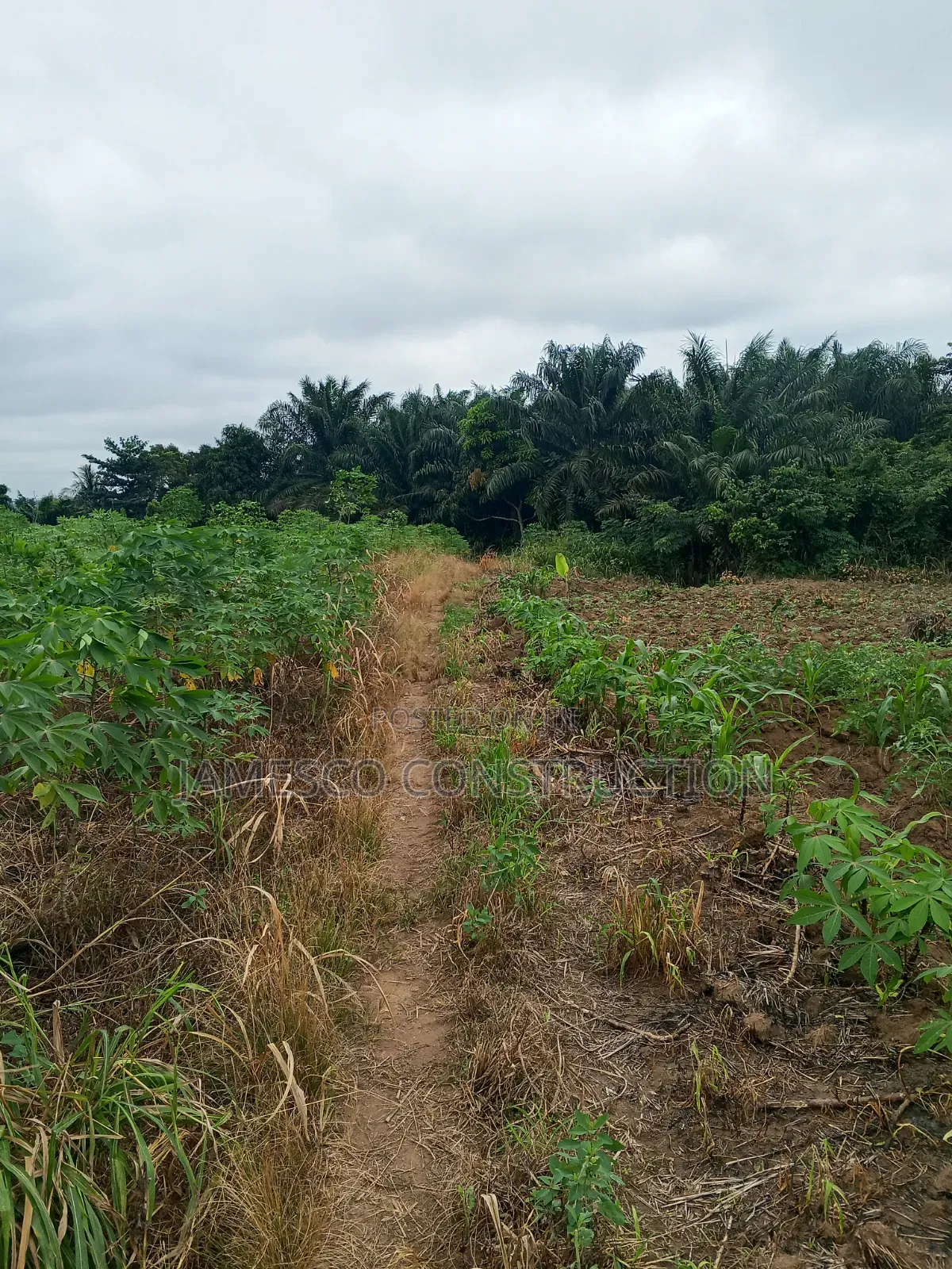 Farmland for Sale