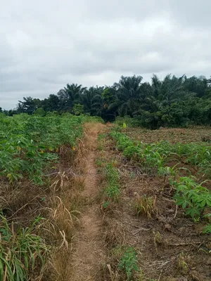 Farmland for Sale