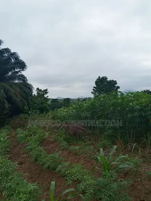 Farmland for Sale