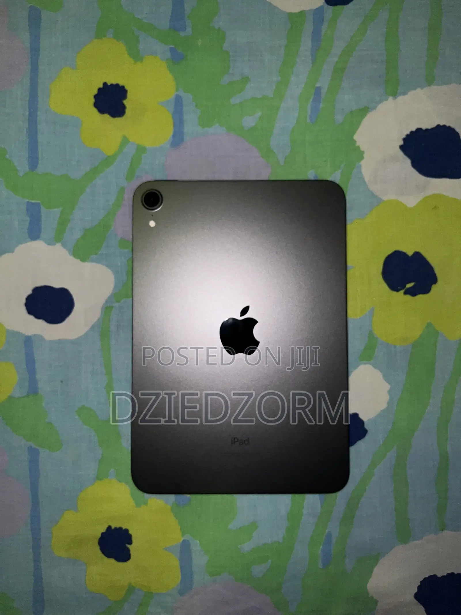 Apple iPad mini 6 64 GB Gray