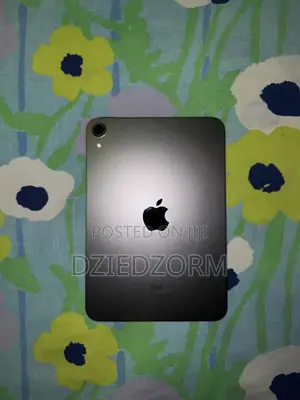 Apple iPad mini 6 64 GB Gray