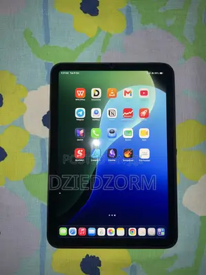 Apple iPad mini 6 64 GB Gray