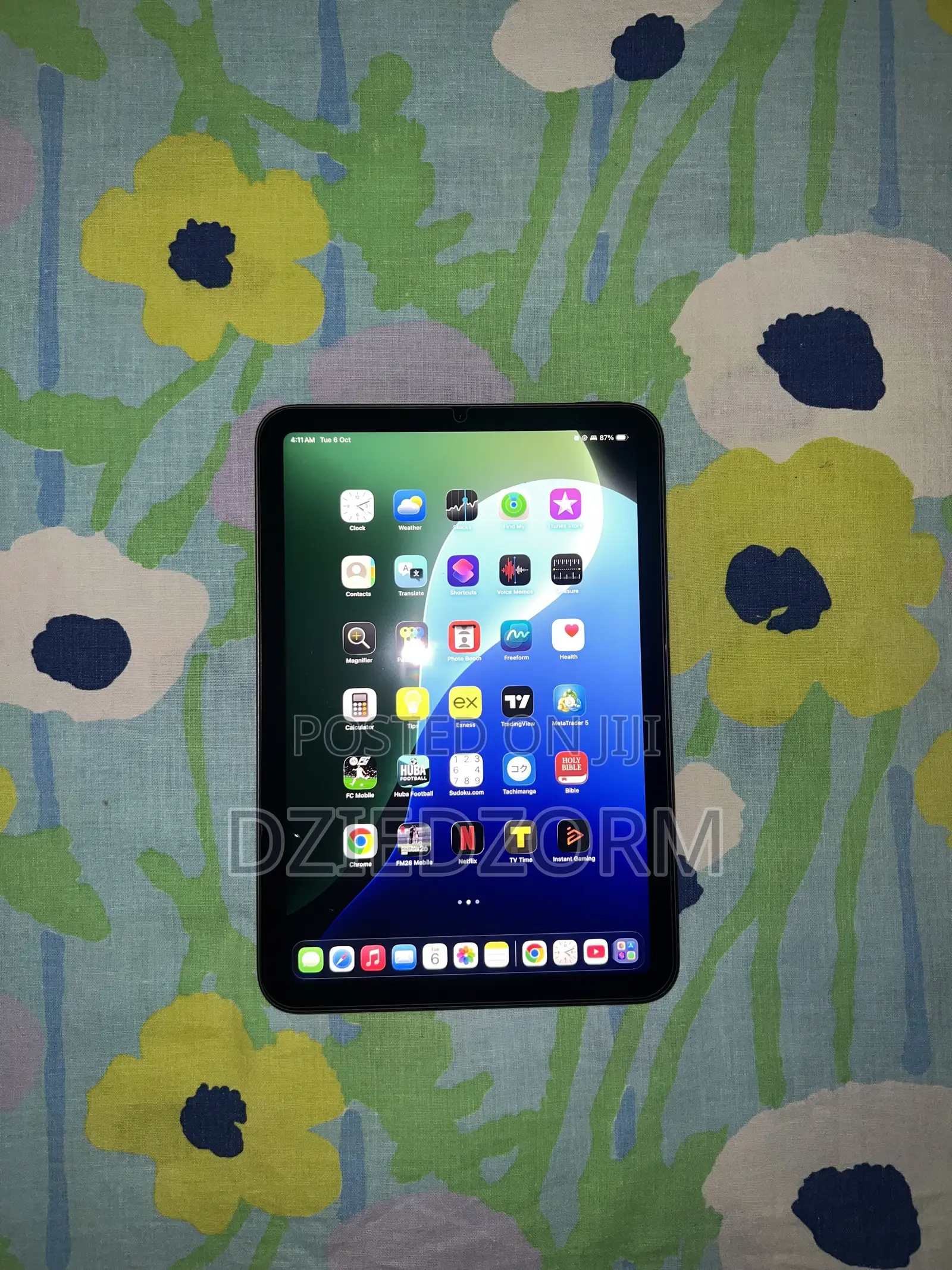 Apple iPad mini 6 64 GB Gray