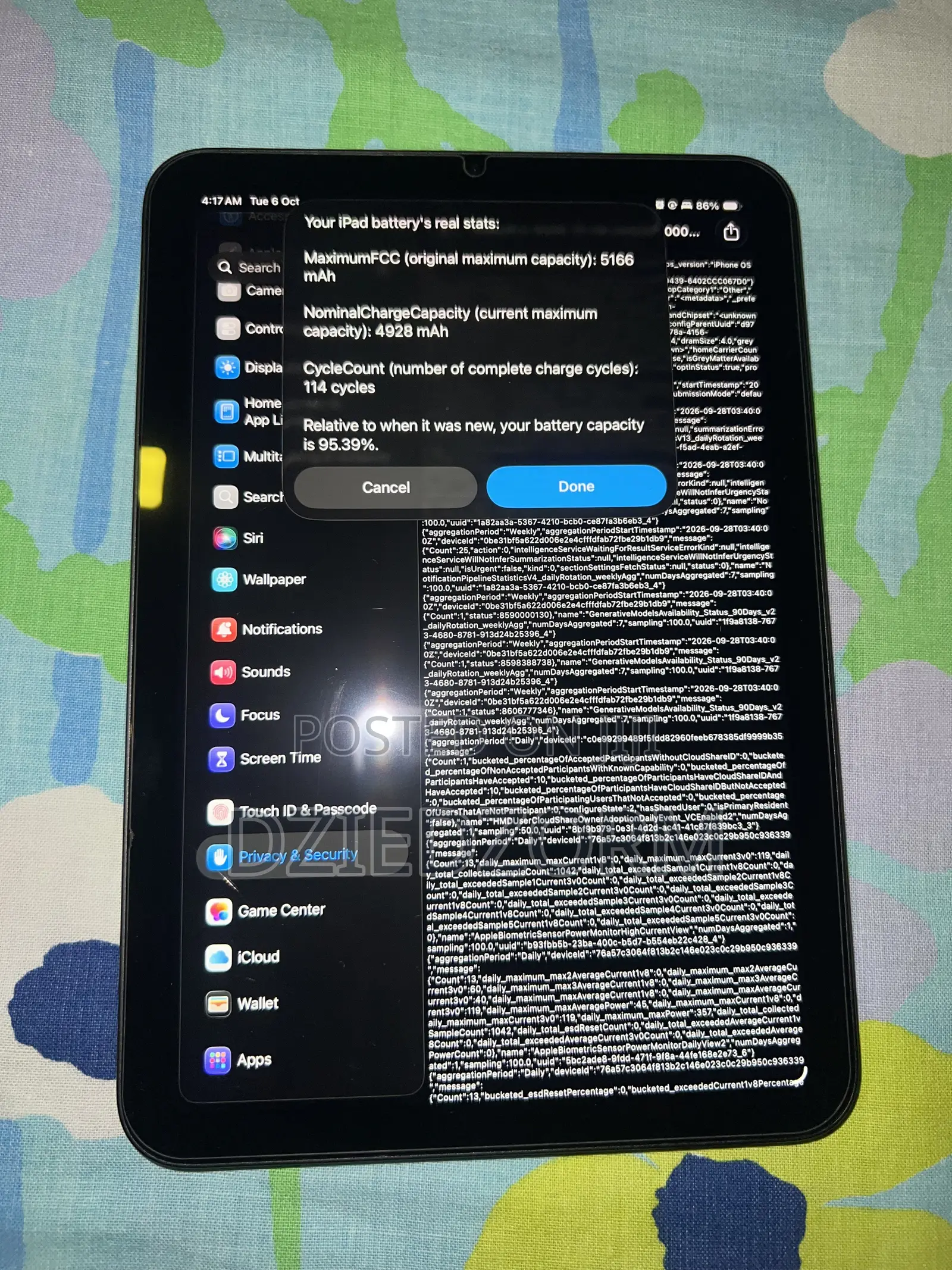 Apple iPad mini 6 64 GB Gray