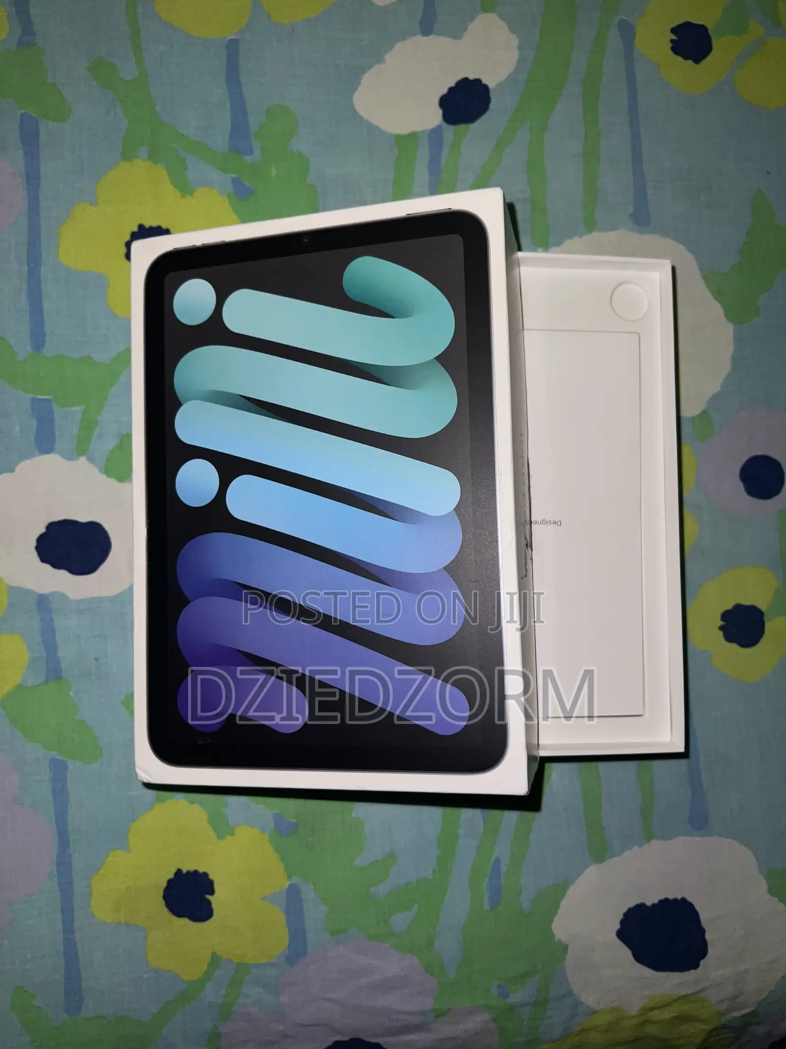 Apple iPad mini 6 64 GB Gray