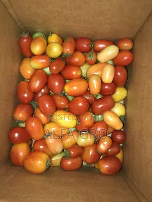 Tomatoes(1 Carton)