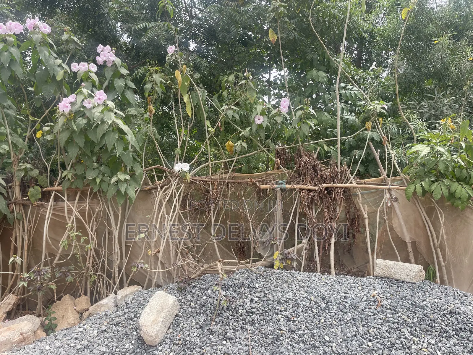 2bdrm Apartment in Oyarifa-Teiman, Ga East Municipal for sale