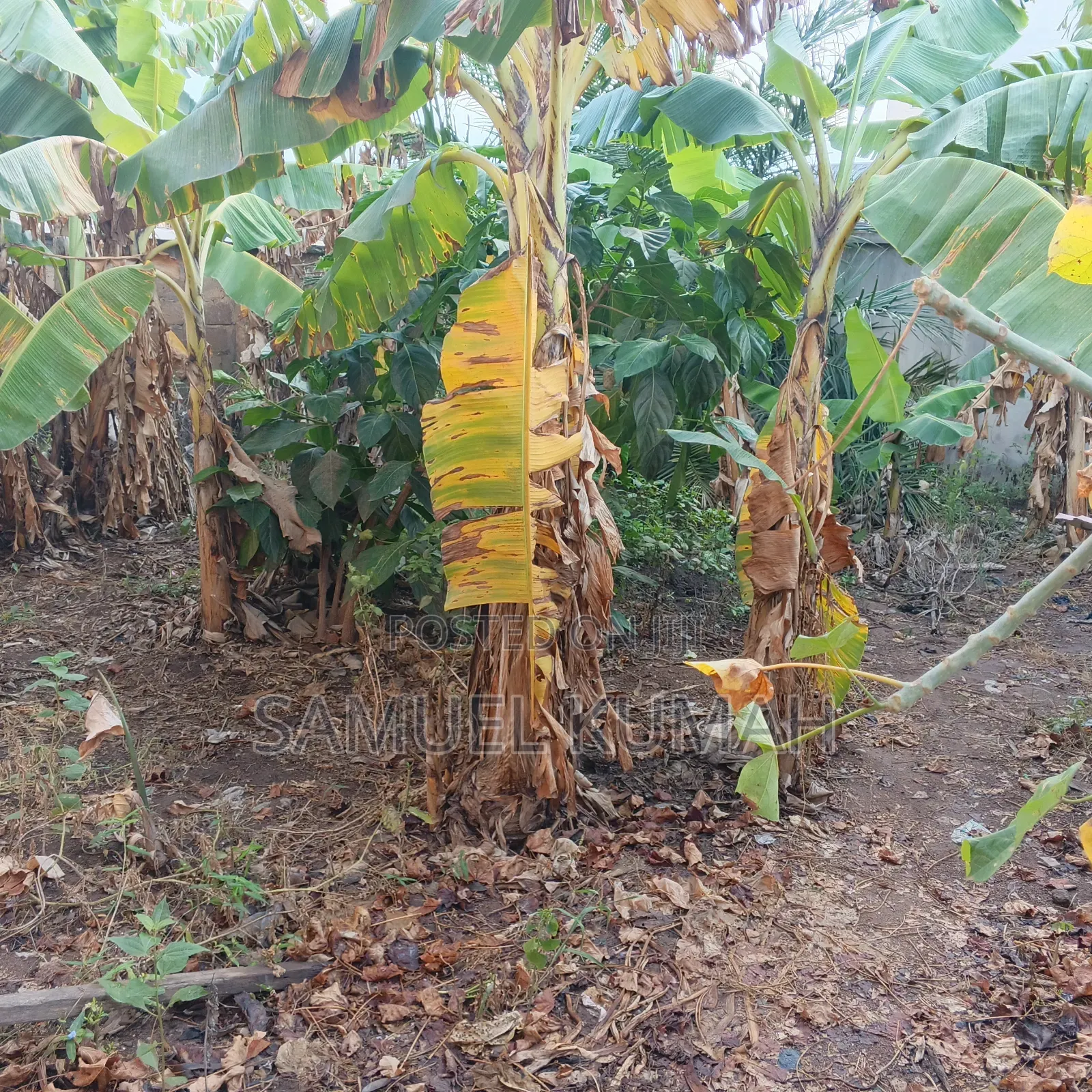 Land for Sale at New Legon 120 X 35