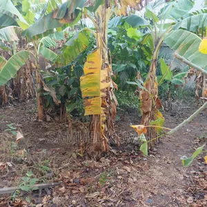 Land for Sale at New Legon 120 X 35