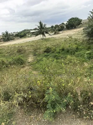 Mainroad Land for Sale at Gomoa Ojobi