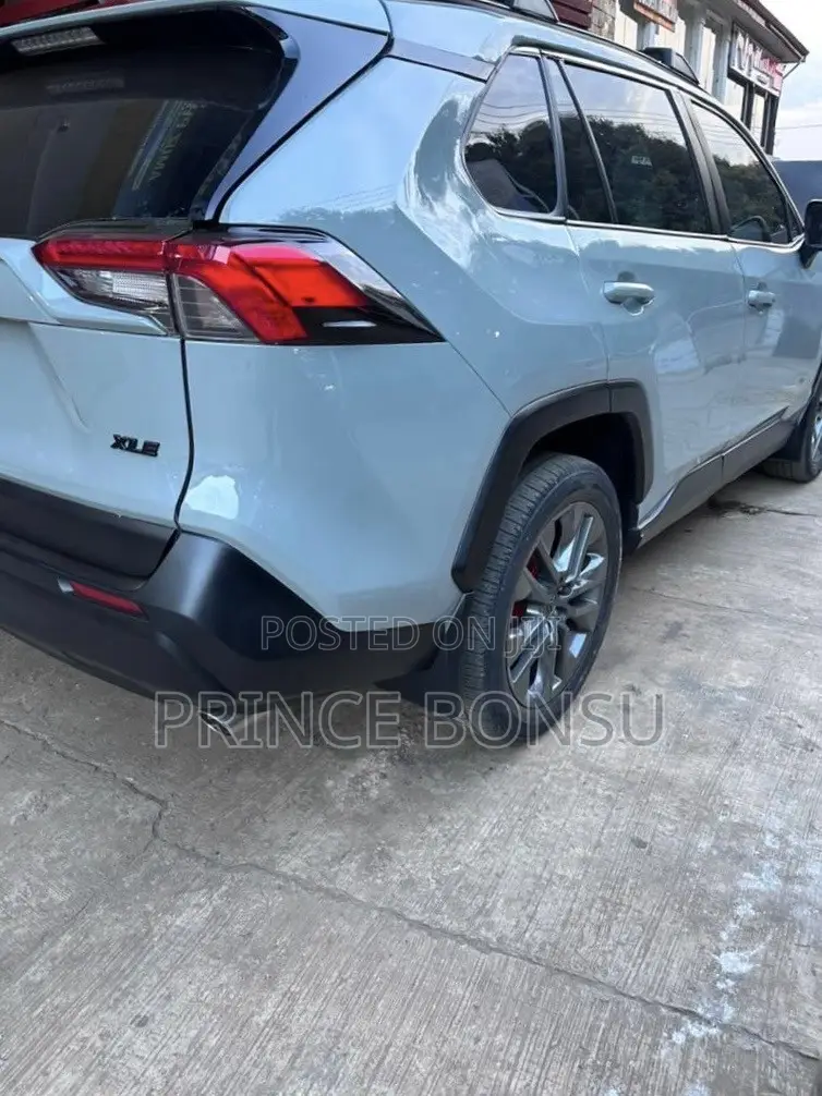 Toyota RAV4 XLE Premium AWD 2020 Gray