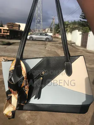 Ladies Bag Tote Bag