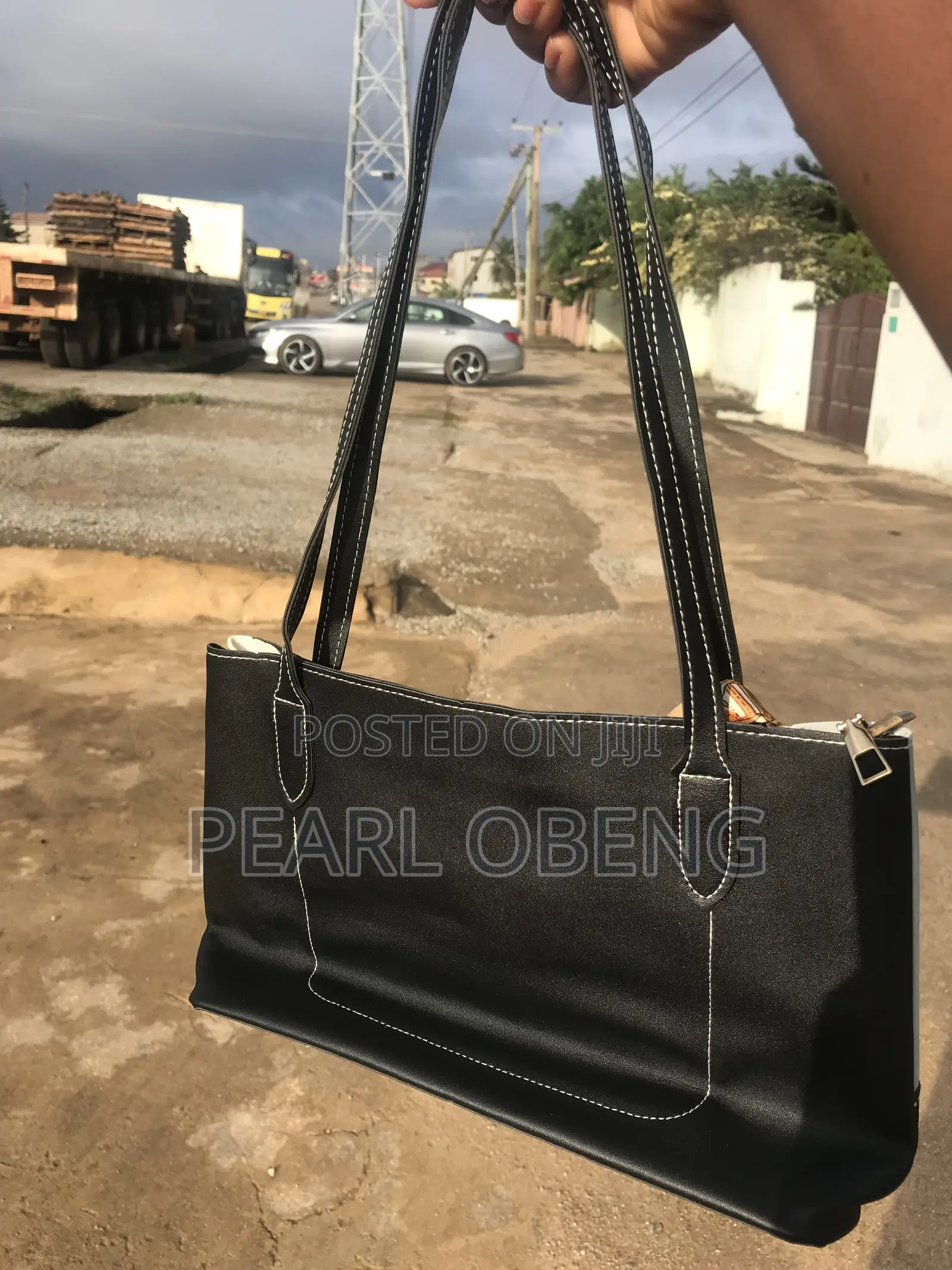 Ladies Bag Tote Bag