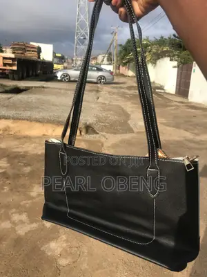 Ladies Bag Tote Bag