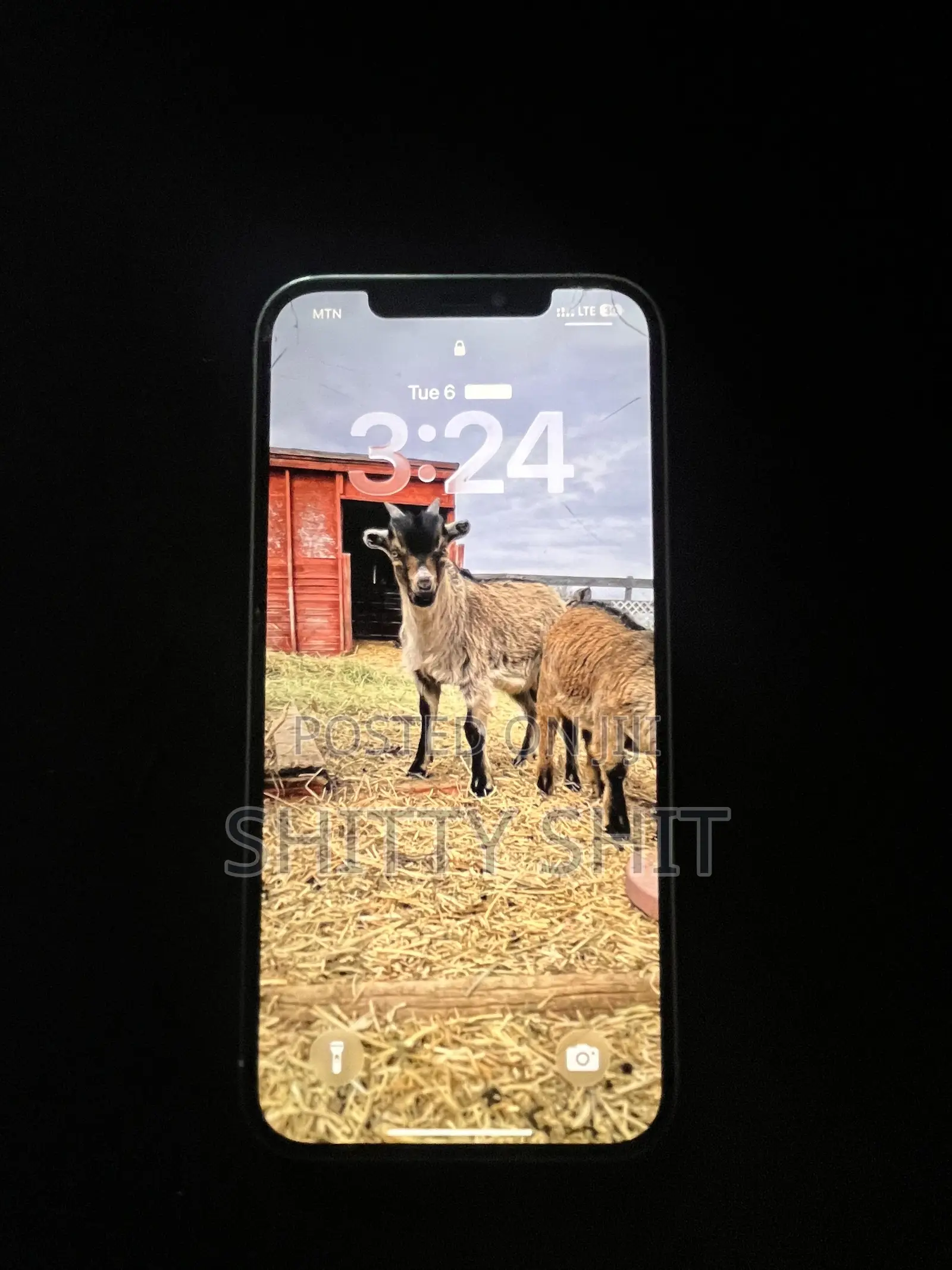 Apple iPhone 12 Pro Max 128 GB White