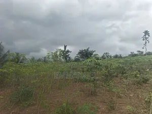 Four (4) Plots of Land for Sale