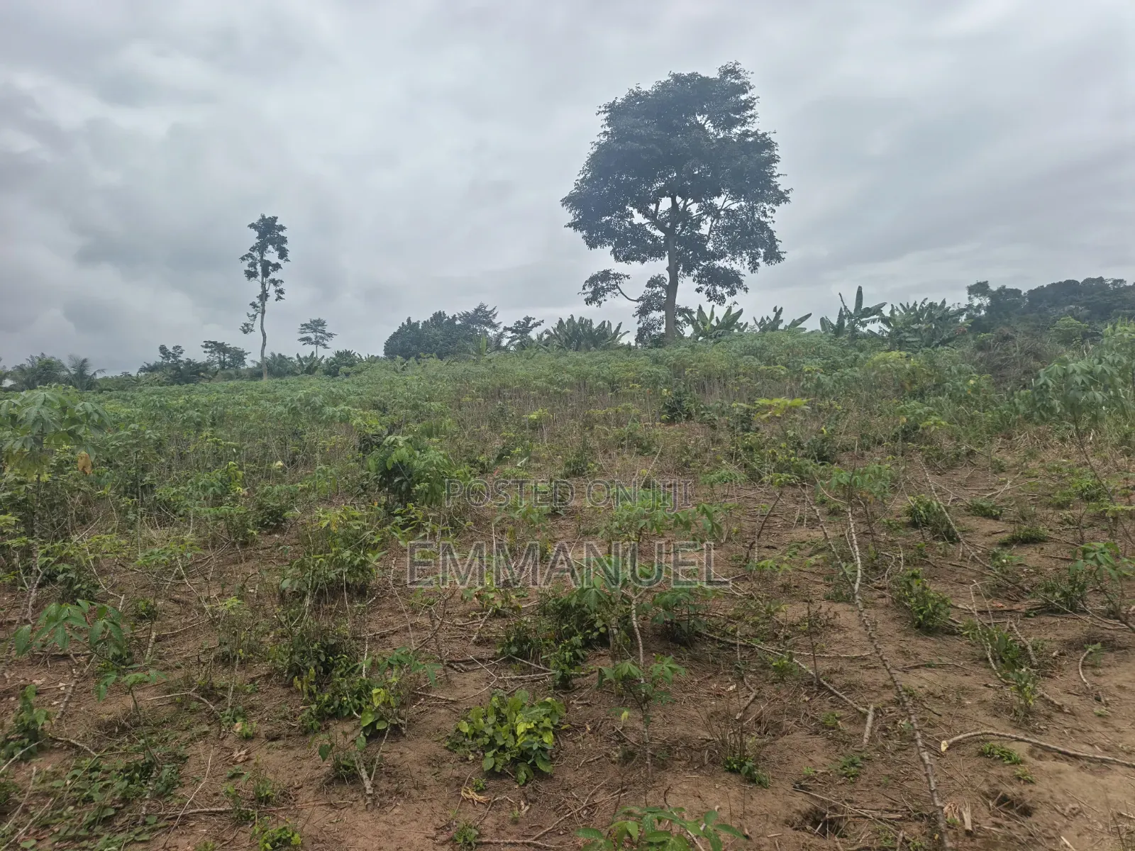 Four (4) Plots of Land for Sale