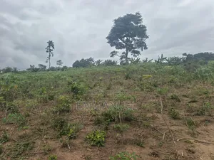 Four (4) Plots of Land for Sale