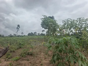 Four (4) Plots of Land for Sale
