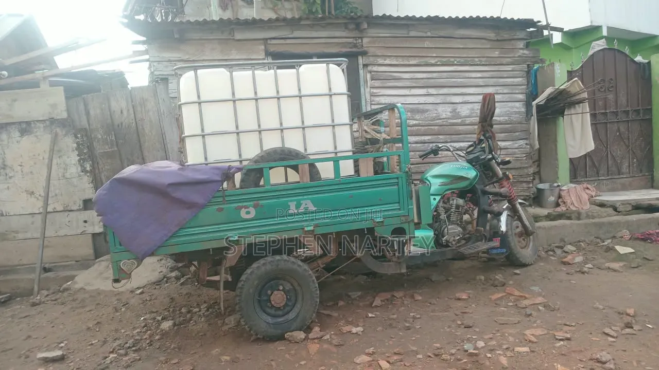 Luojia Clean Tricycle 2024 Green