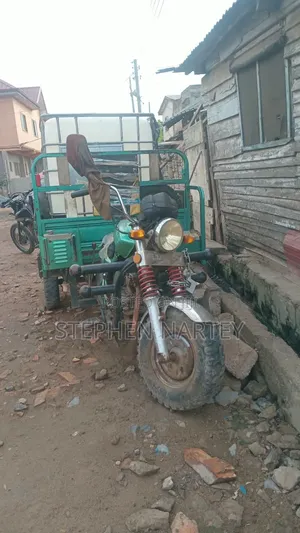 Luojia Clean Tricycle 2024 Green