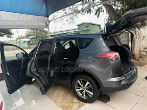Toyota RAV4 XLE 4dr SUV (2.5L 4cyl 6A) 2018 Gray