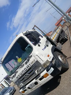 Hyundai Gold 9.50 Ton Double Axle
